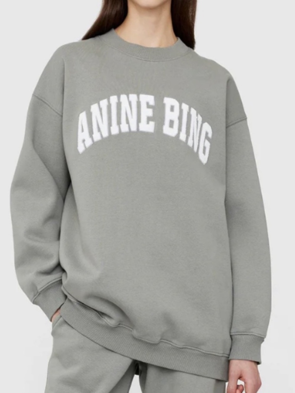 ANINE BING Tyler Oversized Sweatshirt Storm Grey Size S Sold Out $200
